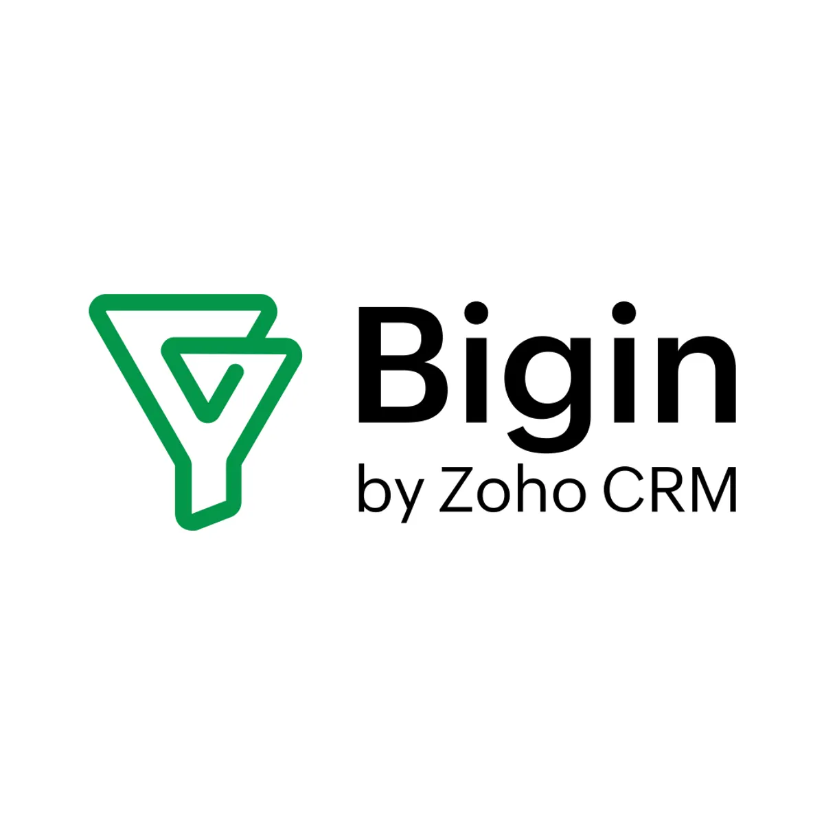 alternatives to Bigin